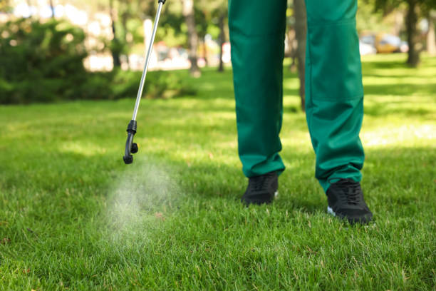 Best Commercial Pest Control Services  in Park Forest, IL