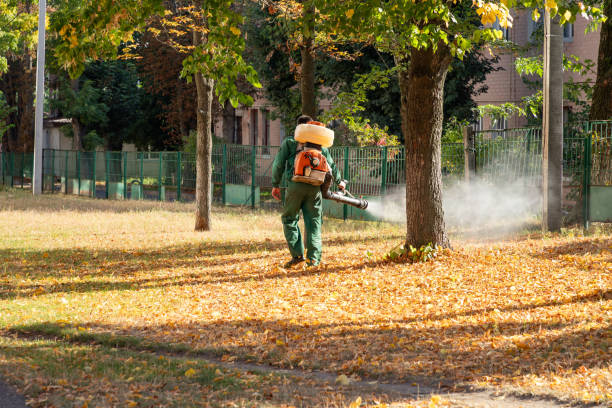  Park Forest, IL Pest Control Pros