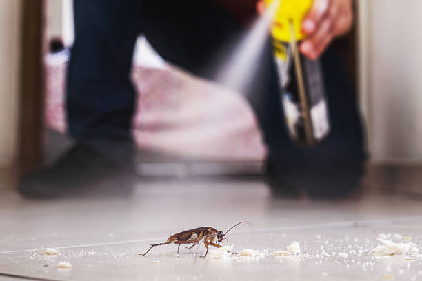 Professional Pest Control in Park Forest, IL